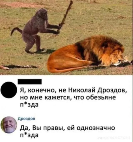 Мем, jonas