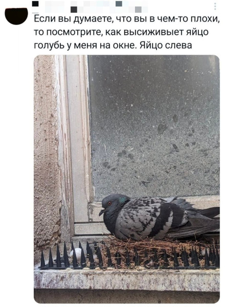 Мем, Смехалка
