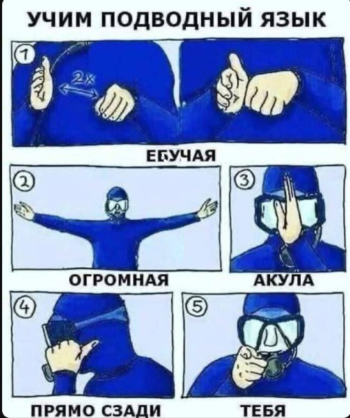 Мем, Бывает