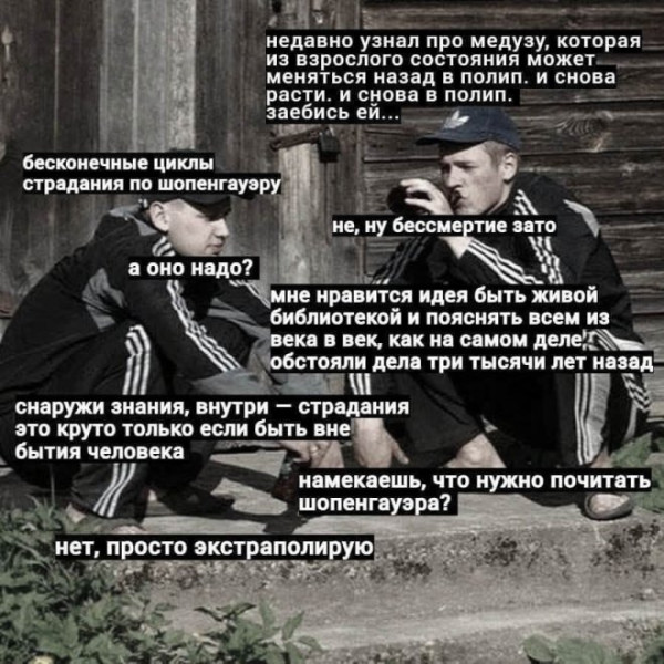Мем: Юмор дня, iteam