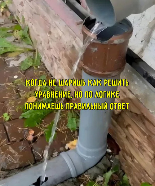 Мем, Леонид Хлыновский