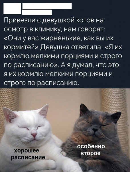 Мем, anberg