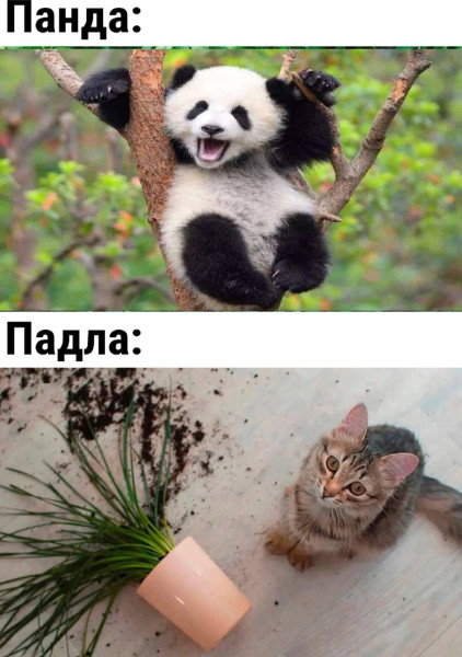 Мем, Смехалка