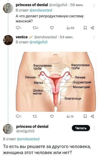 Мем, Смехалка