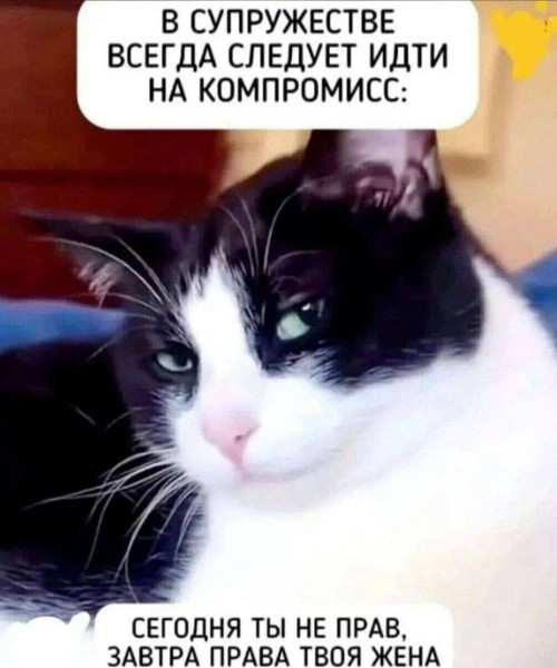 Мем, anberg