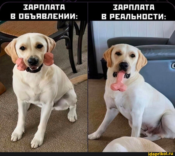 Мем
