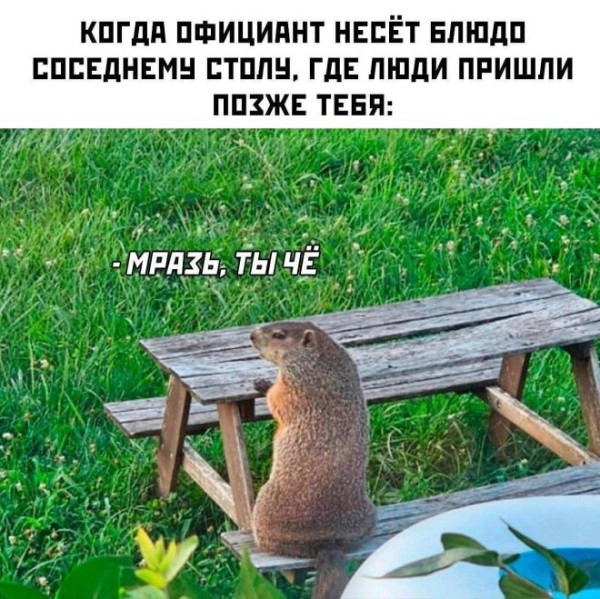 Мем: Приколы, iteam