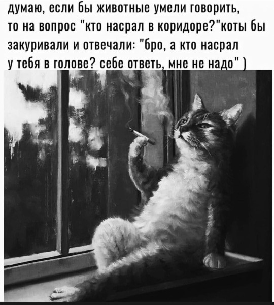 Мем, Максим Камерер