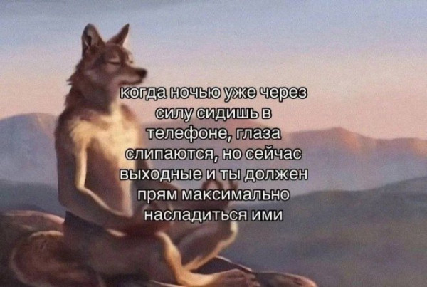 Мем: Приколы, iteam