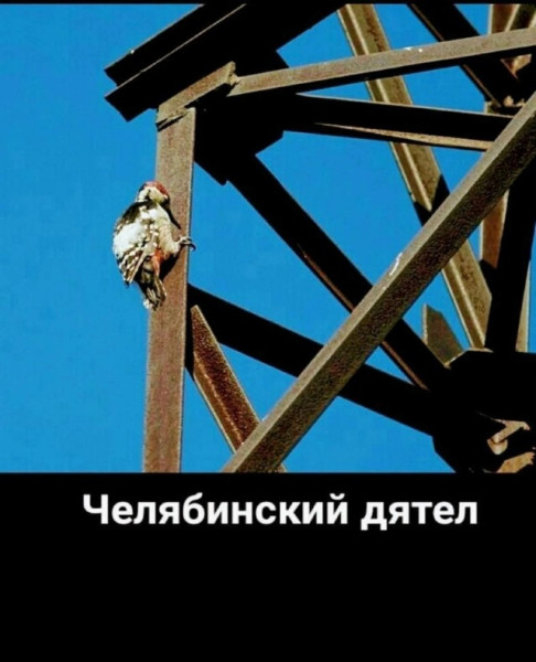 Мем, Смехалка