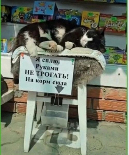 Мем, Смехалка
