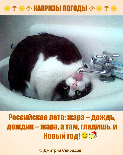 Мем