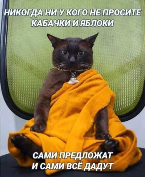 Мем, Анекдотчик