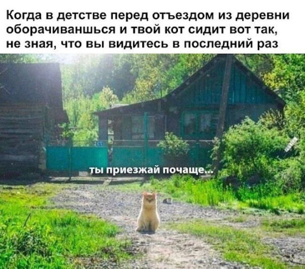 Мем, iteam