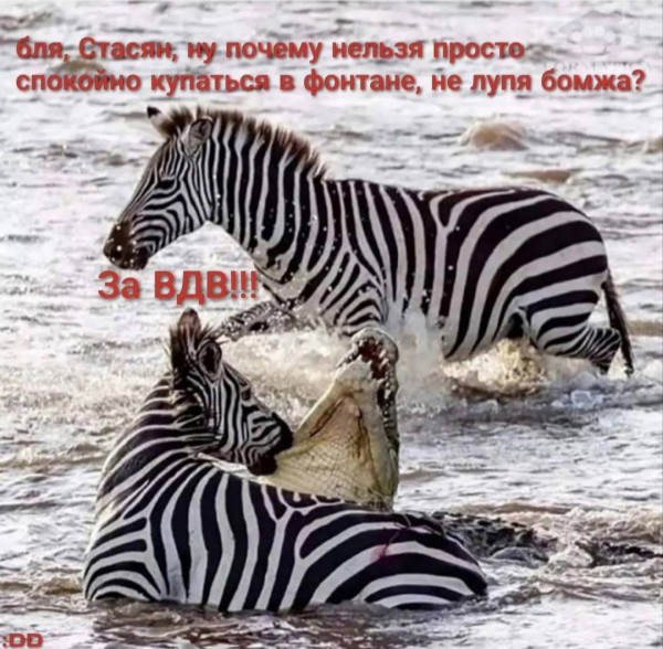 Мем, Максим Камерер