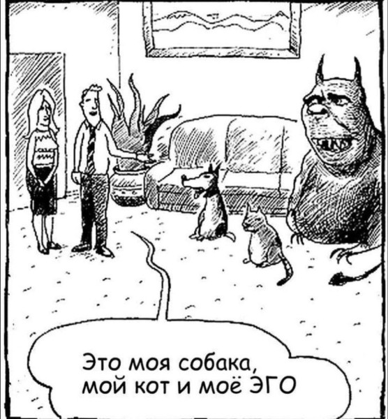 Мем, anberg