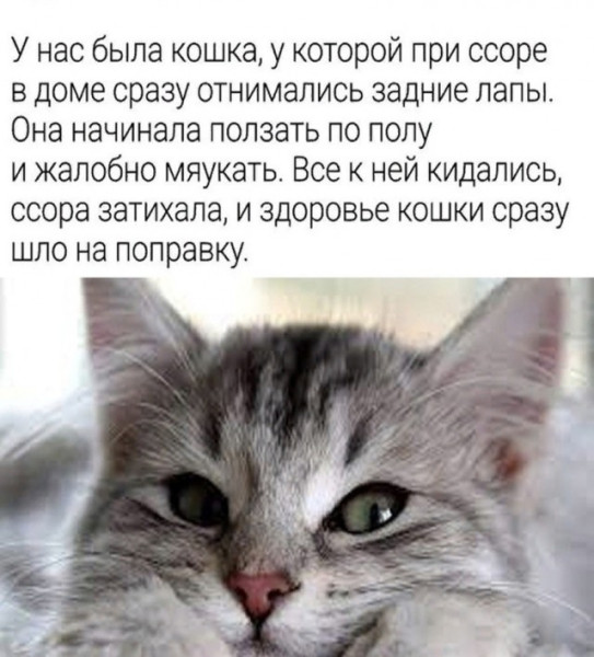 Мем, Смехалка