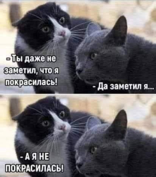 Мем, Анекдотчик