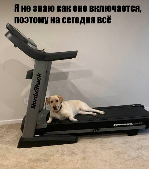 Мем, memw