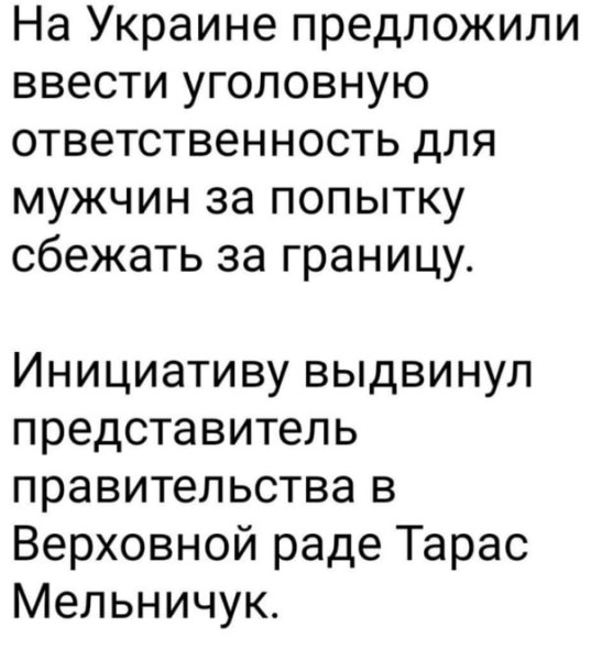 Мем, Максим Камерер