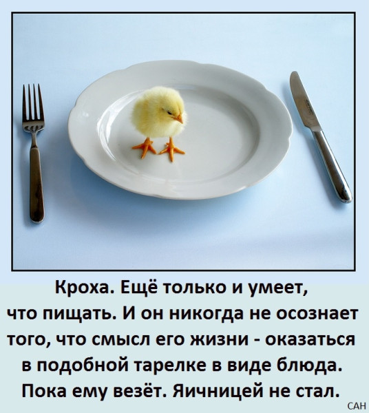 Мем, Александр САН
