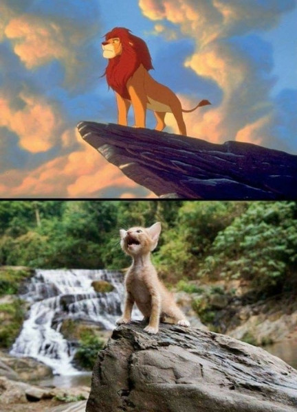Мем, Смехалка