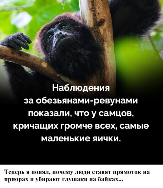 Мем, Mghost