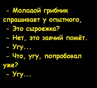 Мем, Лис Интересный