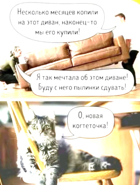 Мем, Hendry