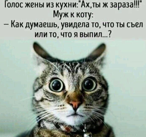 Мем, Hendry