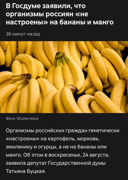 Мем, alexx__ka