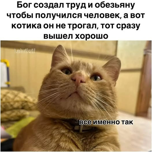 Мем, Mghost