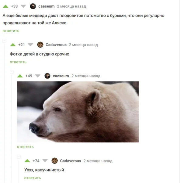 Мем, Mghost