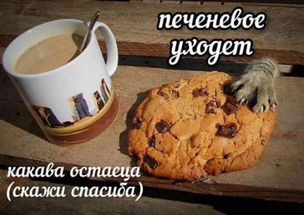 Мем: Юмор и приколы, iteam