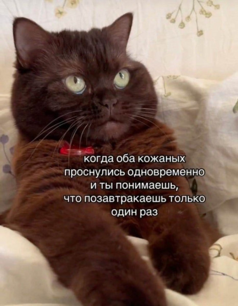 Мем: Юмор и приколы, iteam