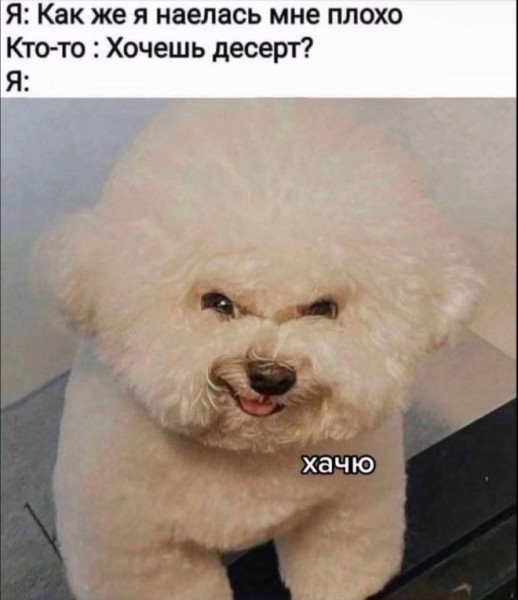 Мем: Юмор и приколы, iteam