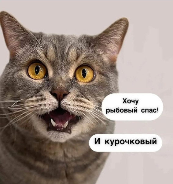 Мем, Анекдотчик