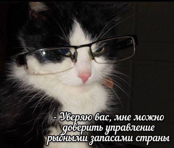 Мем, Смехалка