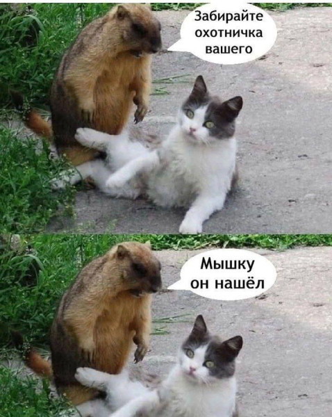 Мем, Смехалка