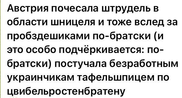 Мем, Максим Камерер