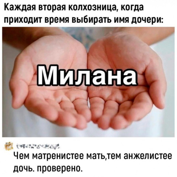 Мем, Максим Камерер