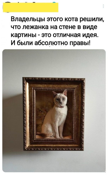 Мем, Рысь