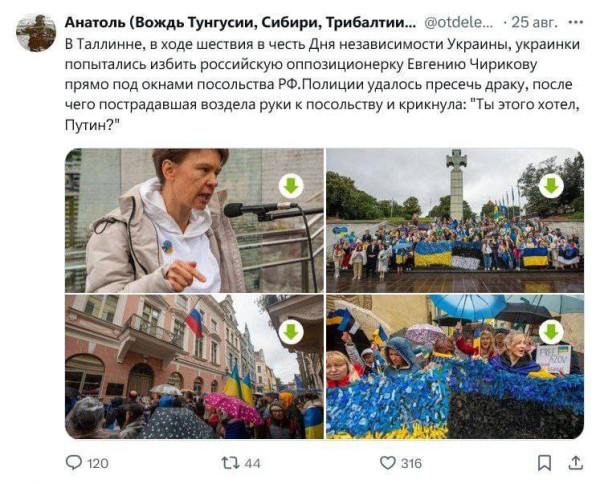 Мем, Максим Камерер