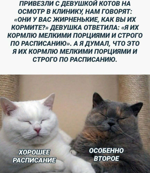 Мем, Смехалка
