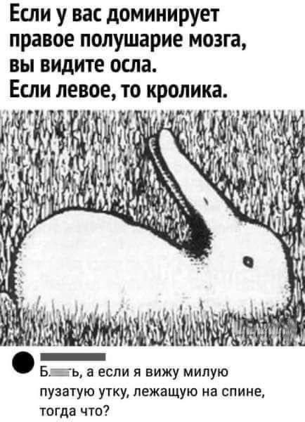 Мем, Смехалка