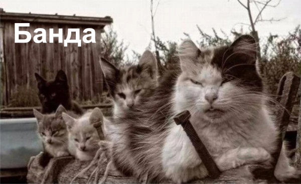 Мем, Тьмуша
