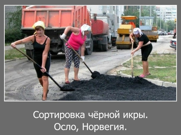 Мем, Волгоградский рыболов