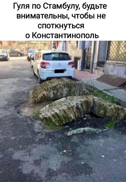 Мем, Рысь