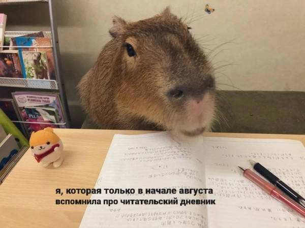 Мем, Микки Маус