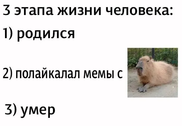 Мем, Микки Маус